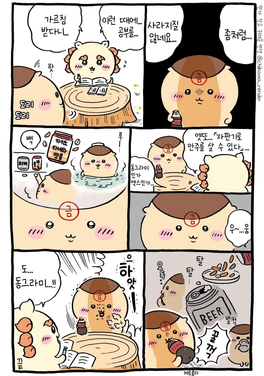 치이카와) 쿠리만쥬가 오랜 시간 금주를 하면 생기는 일.manhwa - 이미지 5