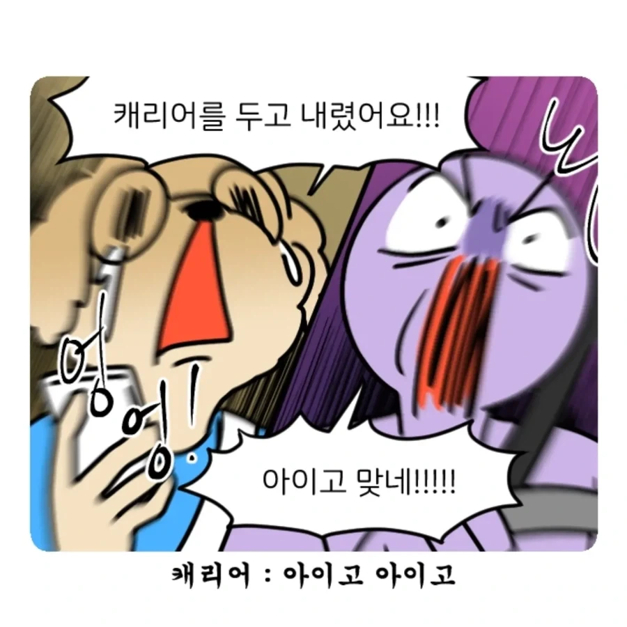 부캉이 보러갔다가 부산택시 경험한 만화.jpg - 이미지 12