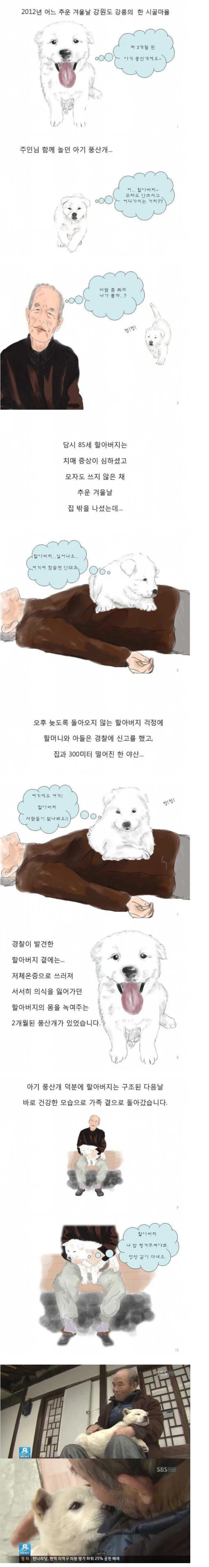 아기풍산개의 훈훈한 일화.manhwa