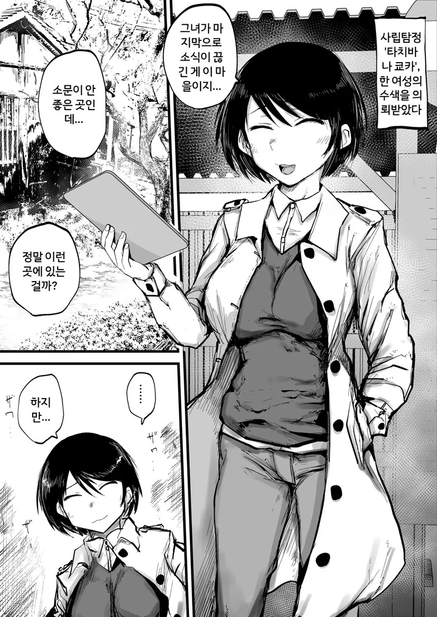 의뢰를 받고 시골 오지에 찾아간 탐정 만화