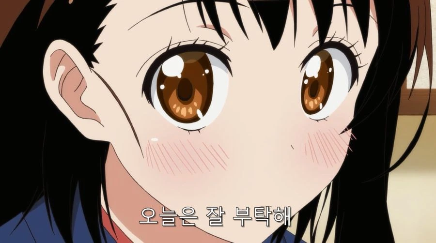 니세코이) 오노데라 부모님에게 인정 받은 이치죠 - 이미지 9