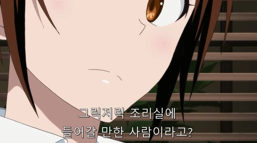 니세코이) 오노데라 부모님에게 인정 받은 이치죠 - 이미지 16