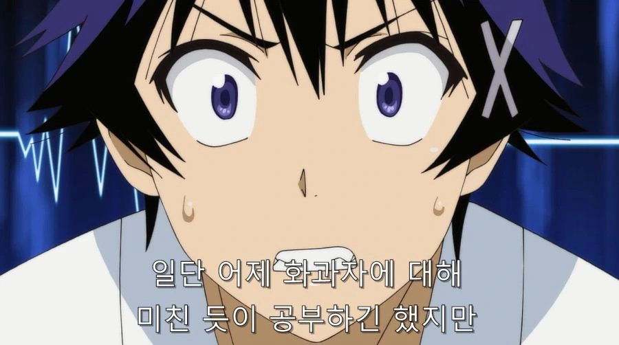 니세코이) 오노데라 부모님에게 인정 받은 이치죠 - 이미지 25