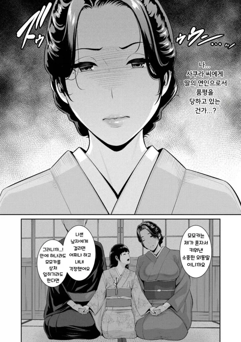 사위가 장모님을 만나는 만화 - 이미지 5