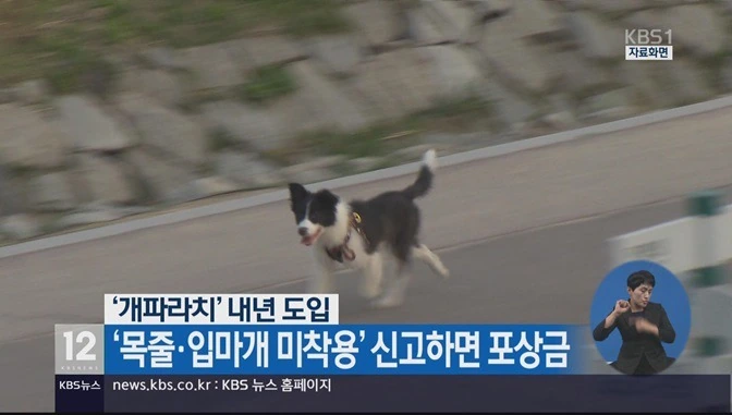 애완견 사고 터질때마다 재평가 받는 만화 캐릭터
