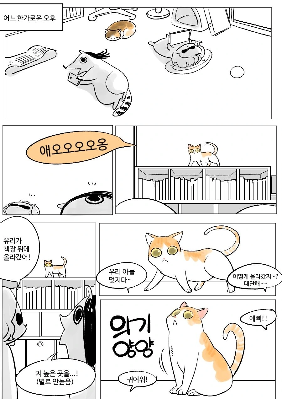 자기가 라이온 킹인줄 아는 고양이.manhwa