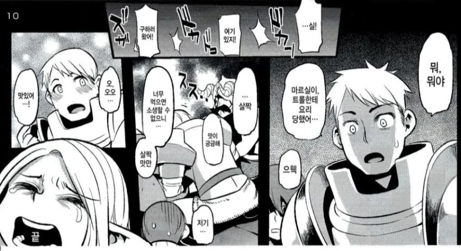 던젼밥) 팬들의 라이오스에 대한 해석이 극도로 갈리는 장면.manhwa
