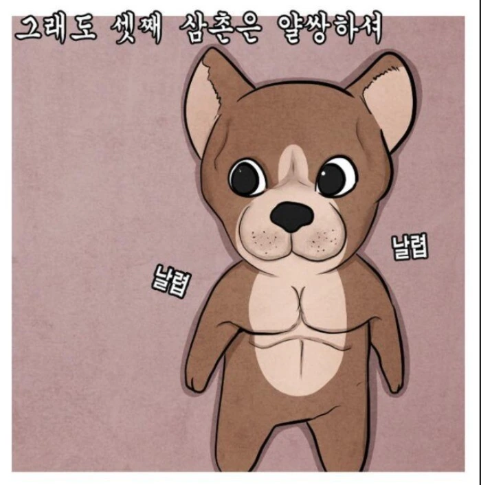 어느 군면제특화 운동가족.manhwa - 이미지 11