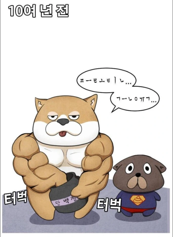 어느 군면제특화 운동가족.manhwa - 이미지 14