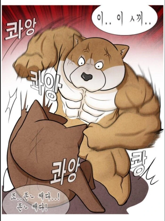 어느 군면제특화 운동가족.manhwa - 이미지 26