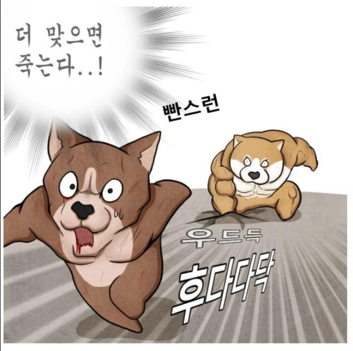 어느 군면제특화 운동가족.manhwa - 이미지 27