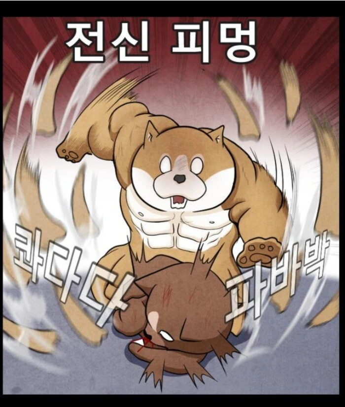 어느 군면제특화 운동가족.manhwa - 이미지 41