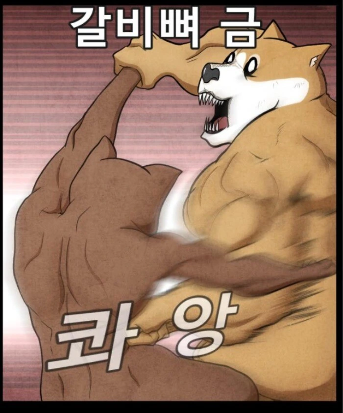 어느 군면제특화 운동가족.manhwa - 이미지 42