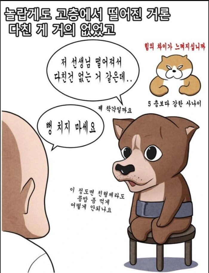 어느 군면제특화 운동가족.manhwa - 이미지 43