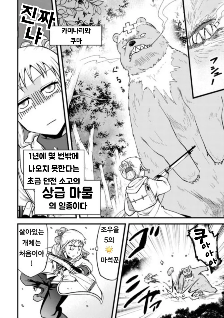 곰 해체 하는 던전 영애 만화