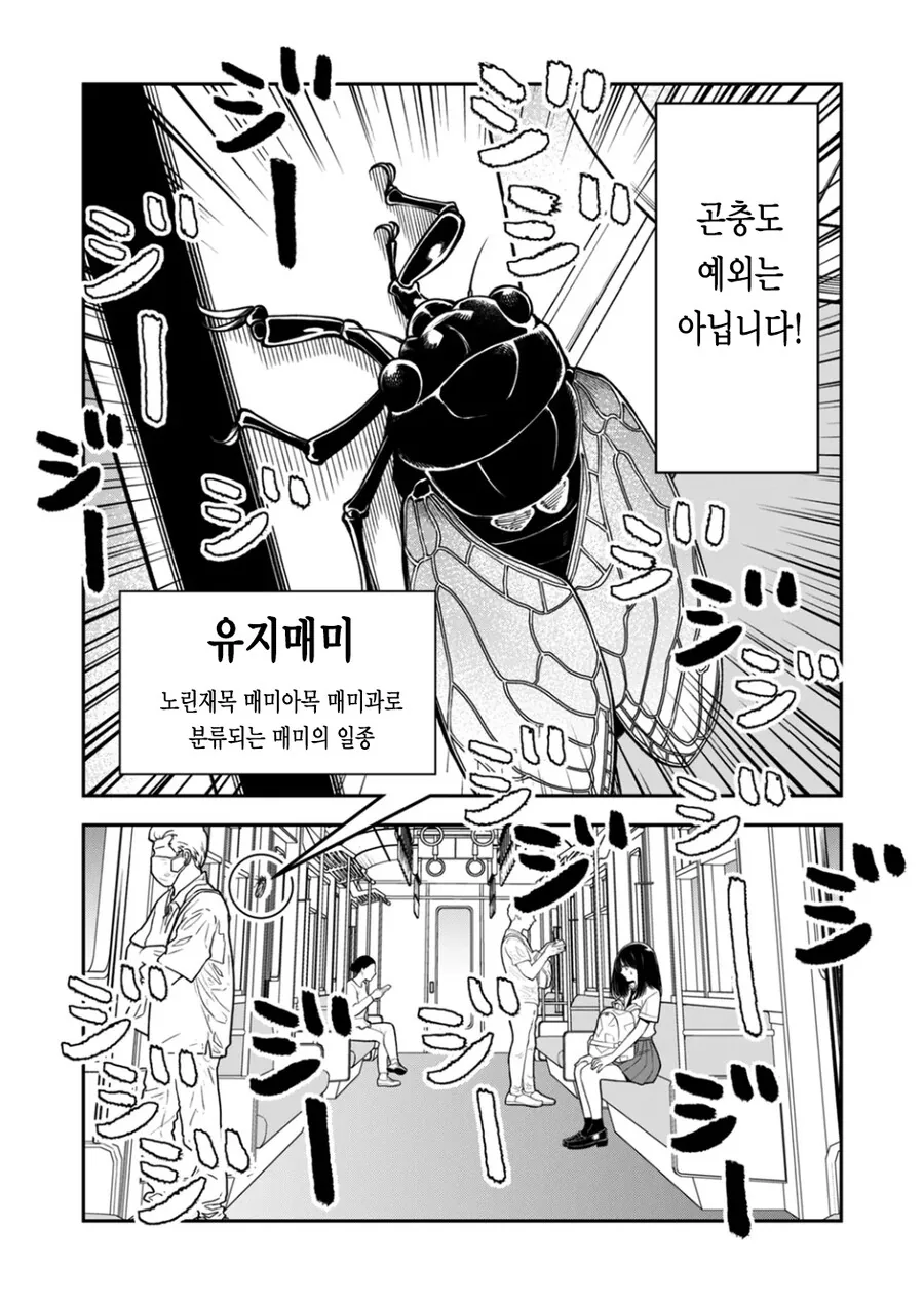 동물과 이야기 할 수 있는 여고생.manhwa - 이미지 2