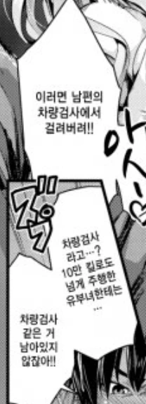 차량검사 걱정하는 유부녀