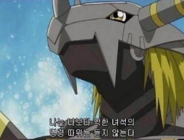 나는 나보다 약한 녀석의 명령 따위는 듣지 않는다