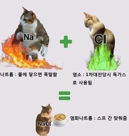 불의 왕과 독가스의 여왕이 결혼한 만화 - 이미지 2