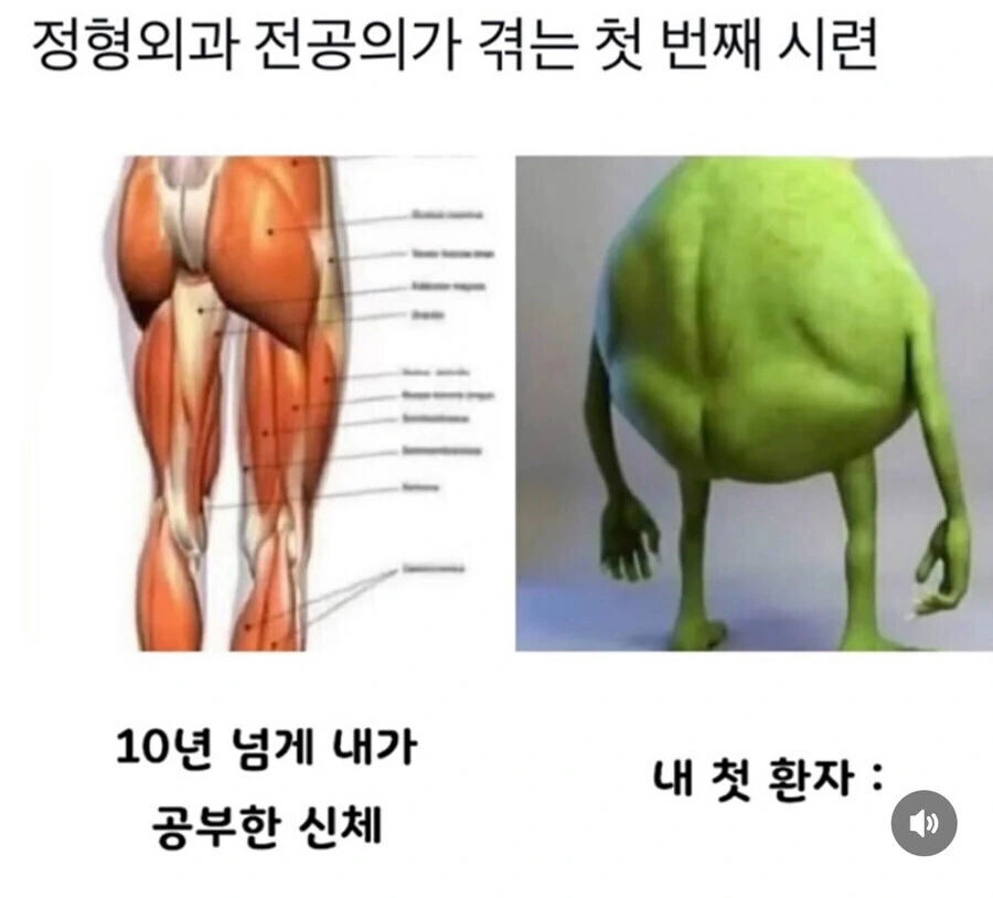 영화나 만화속 수석졸업 엘리트가 실전투입후 멘붕하는 이유