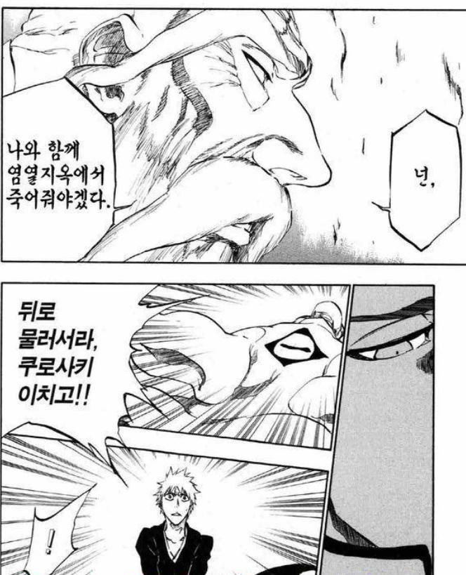블리치) 아무 상관도 없는 사람을 끌어들일 순 없다.