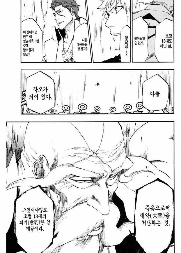 블리치) 아무 상관도 없는 사람을 끌어들일 순 없다. - 이미지 2