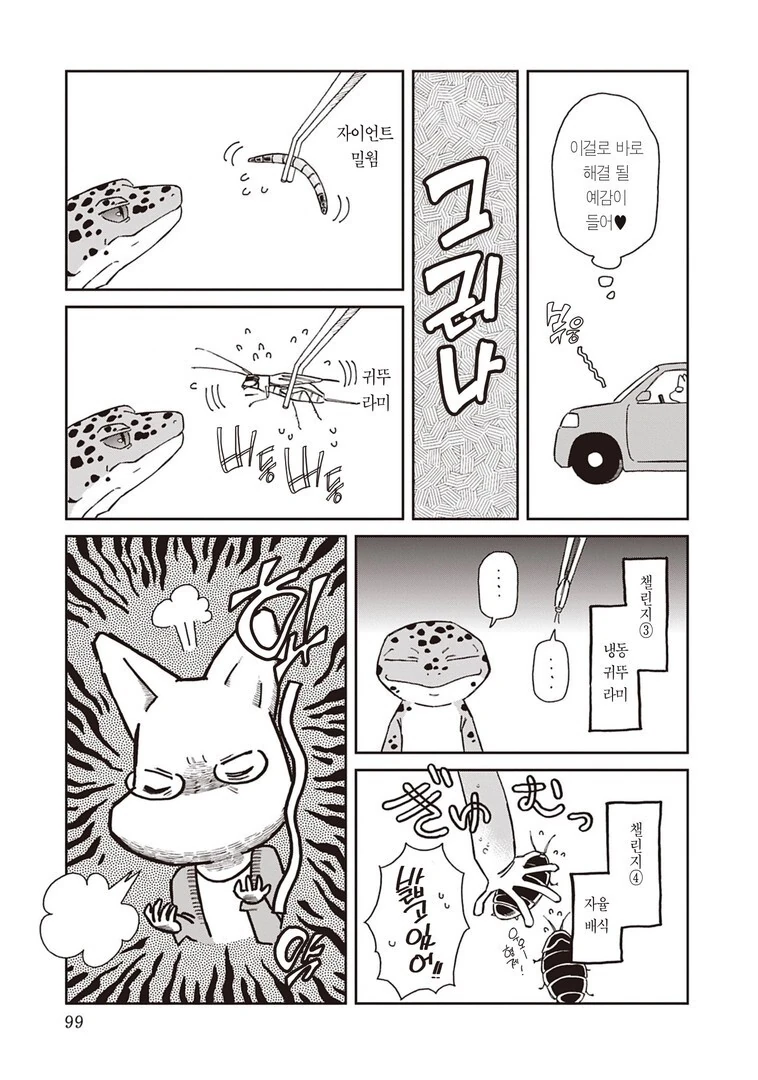 파충류 기르는 사람들이 공감하는 겻.manhwa - 이미지 5