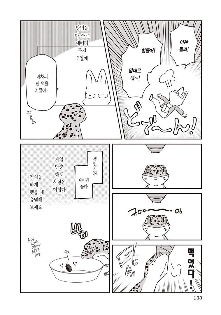 파충류 기르는 사람들이 공감하는 겻.manhwa - 이미지 6