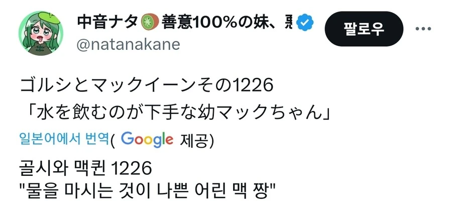 말딸) 물을 마시는게 서투른 어린 맥퀸쨩