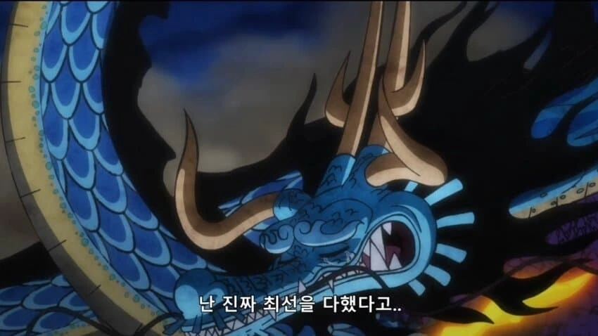 원피스)카이도의 한탄 - 이미지 9