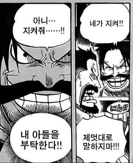 원피스)에이스가 핏줄에 비해 초반에 약했던 이유