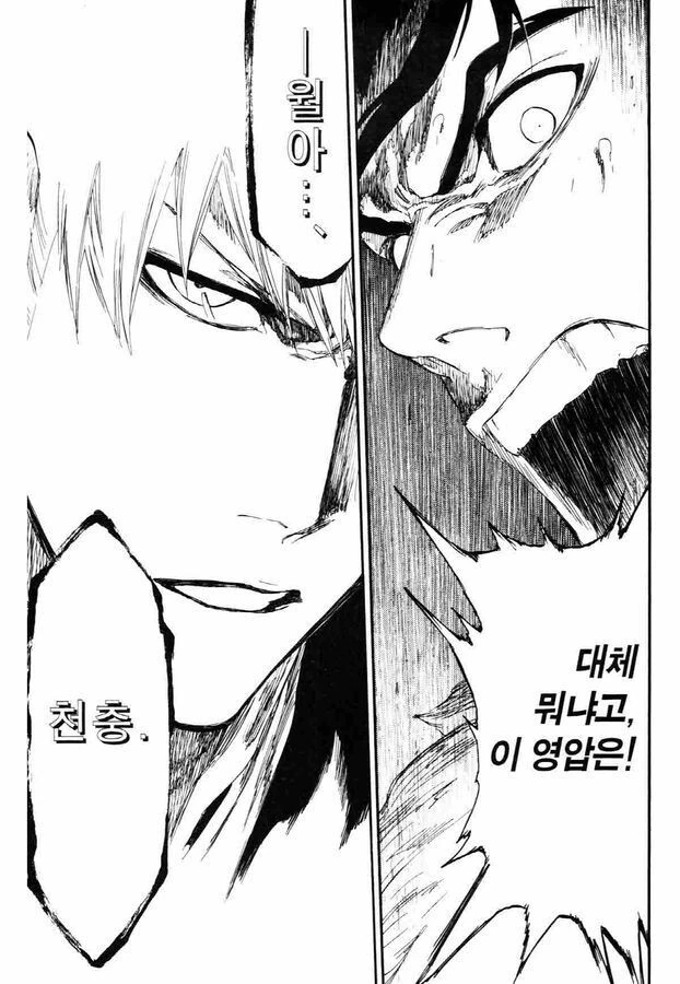 블리치) 아무것도 안 하고 배틀페이즈에 돌입하는 이치고 - 이미지 6