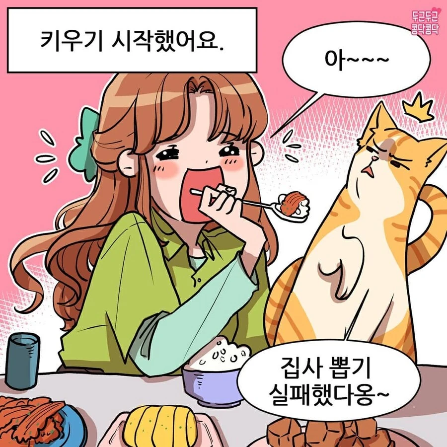 여친이 길냥이주워서 키우는만화 - 이미지 2
