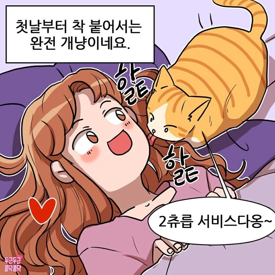 여친이 길냥이주워서 키우는만화 - 이미지 3