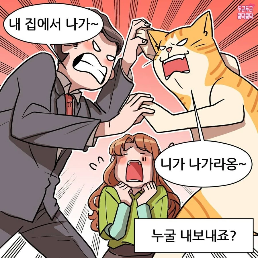 여친이 길냥이주워서 키우는만화 - 이미지 6