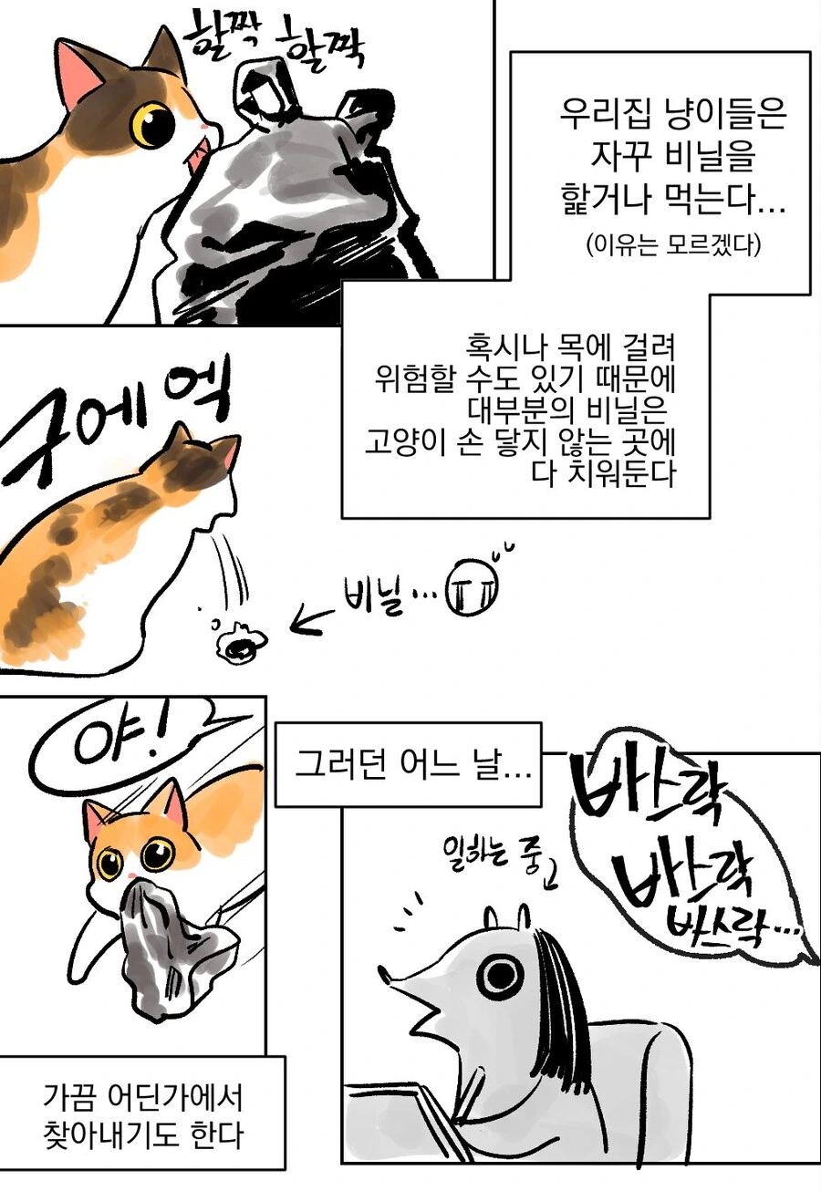 고양이가 선명하게 비닐을 핥았다.manhwa