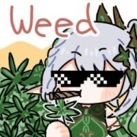 [원신] 대Macho 피는 타이나리