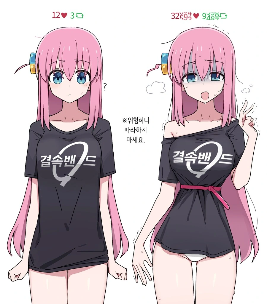 봇치더락)봇치,키타 코스프레.