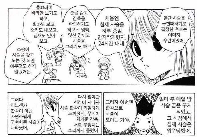 헌터x헌터)크라피카 스승때문에 박혀버린 구현화계 수련방법
