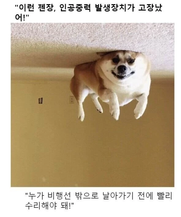 동물들의 만화대사 클리셰 모음 - 이미지 3