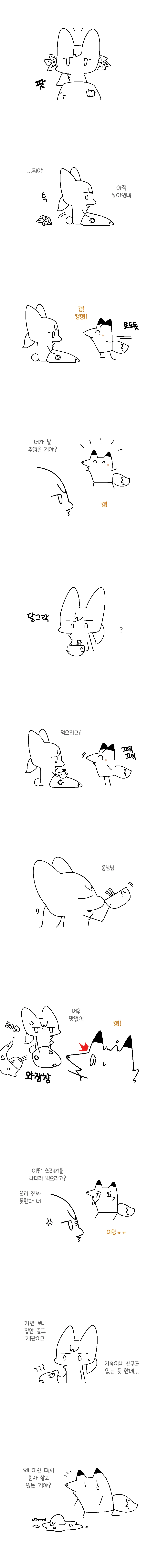 귀머거리 토끼와 바보여우 만화.manga - 이미지 2