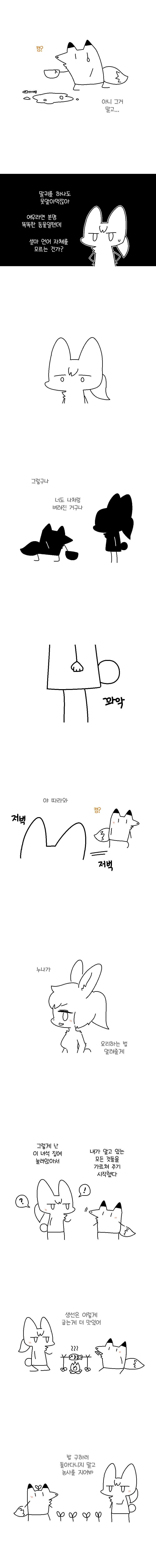 귀머거리 토끼와 바보여우 만화.manga - 이미지 3