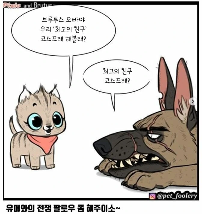 은퇴한 군견과 아기 고양이 만화 - 이미지 2
