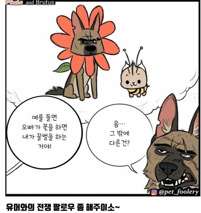 은퇴한 군견과 아기 고양이 만화 - 이미지 3
