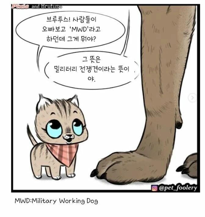 은퇴한 군견과 아기 고양이 만화 - 이미지 10