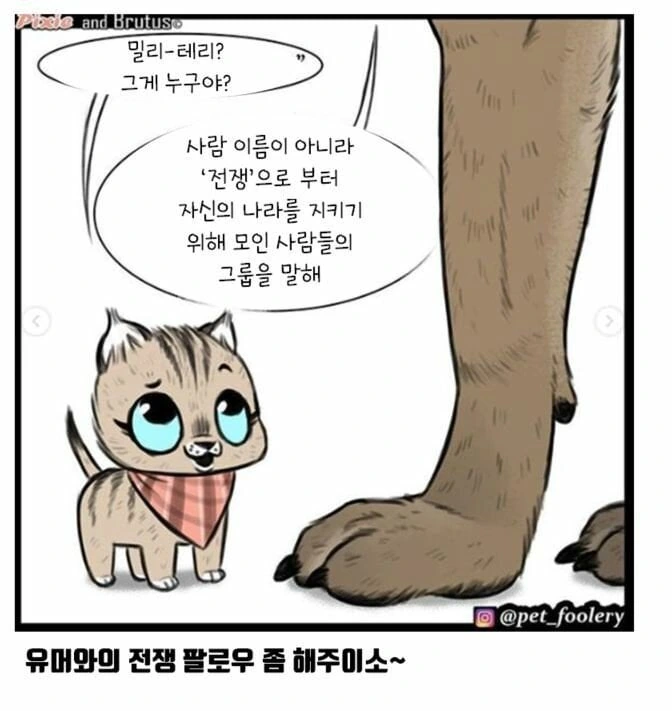 은퇴한 군견과 아기 고양이 만화 - 이미지 11