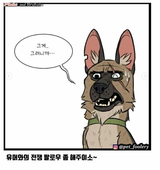 은퇴한 군견과 아기 고양이 만화 - 이미지 15