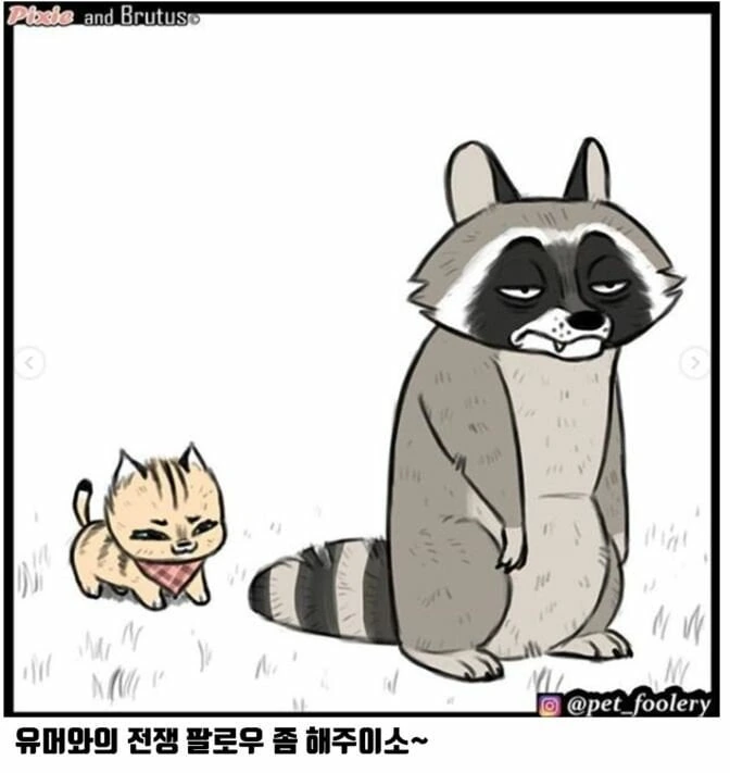 은퇴한 군견과 아기 고양이 만화 - 이미지 18