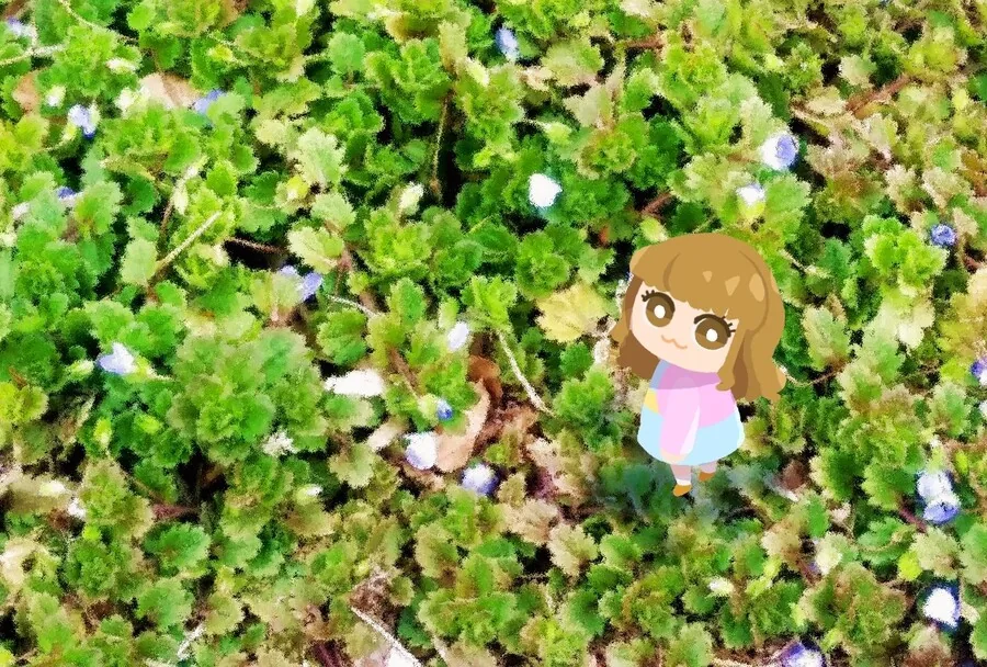 @)작은 키라링