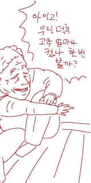 남녀가 평등한 만화